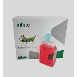 人小氣道上皮細(xì)胞主圖