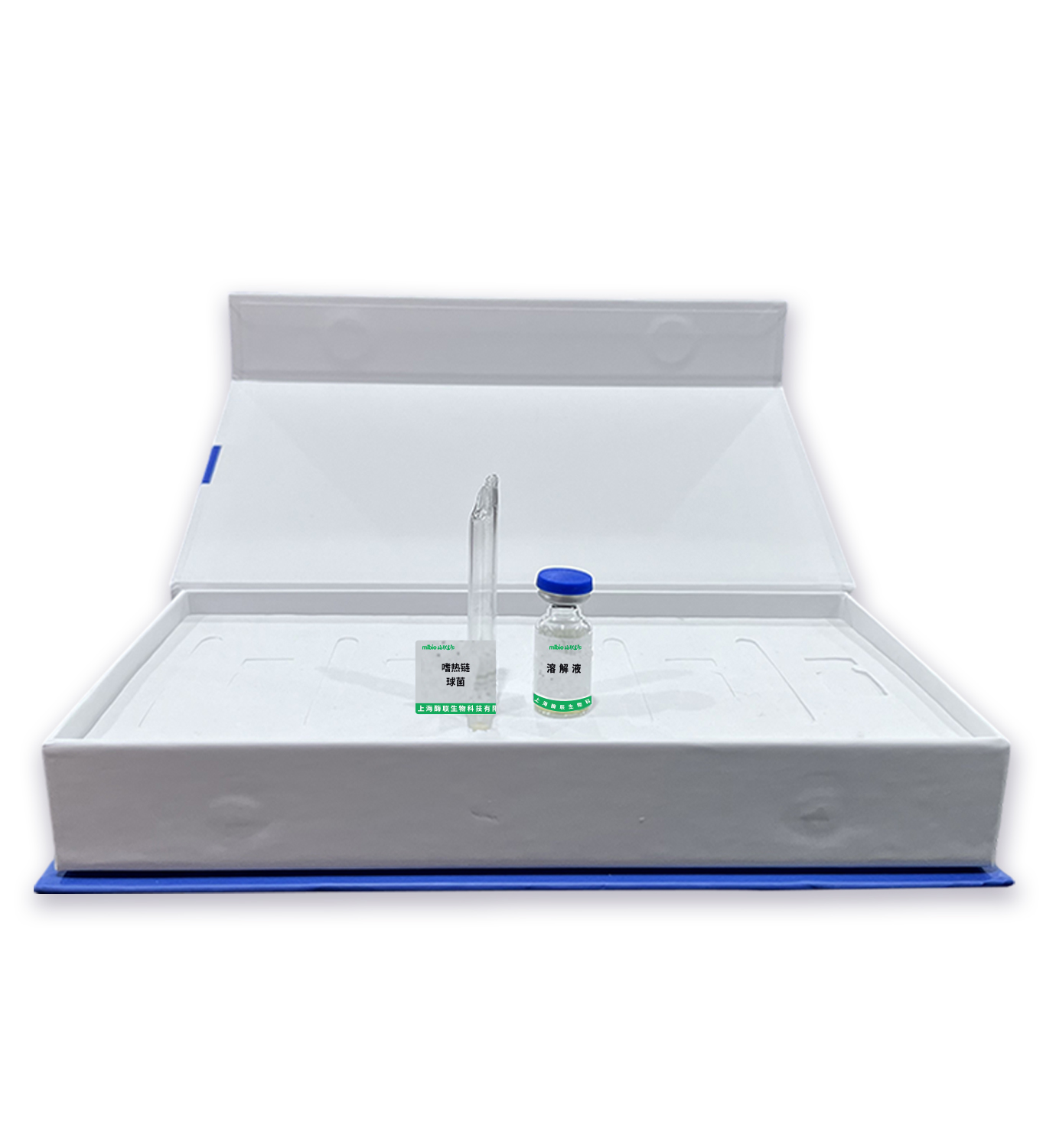 嗜熱鏈球菌主圖