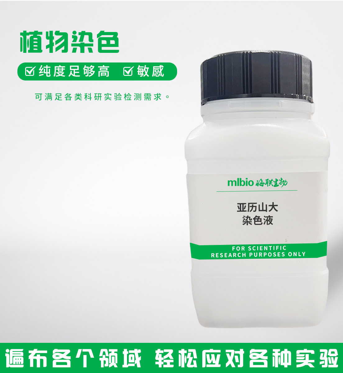 亞歷山大染色液主圖