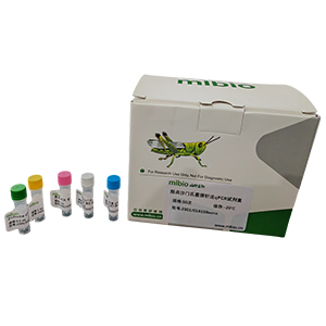 牛呼吸道合胞體病毒探針法qRT-PCR試劑盒(不含內(nèi)參)主圖