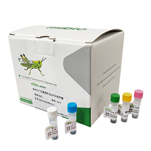 禽傳染性支氣管炎病毒探針法qRT-PCR試劑盒(不含內參)主圖