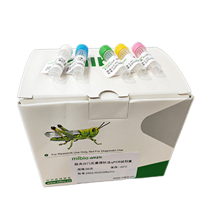 禽傳染性支氣管炎病毒California型探針法qRT-PCR試劑盒(不含內參)主圖