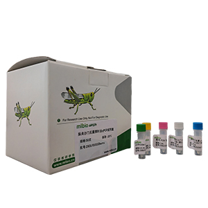 松生枝干潰瘍病菌探針法qPCR試劑盒(不含內參)主圖