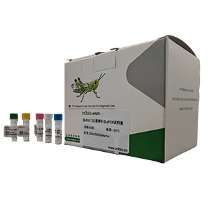 蟠尾絲蟲探針法qPCR試劑盒(不含內參)主圖