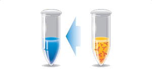 ELISA高靈敏度農藥殘留檢測試劑盒