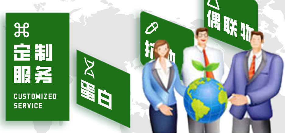 定制服務，蛋白，抗體，偶聯物